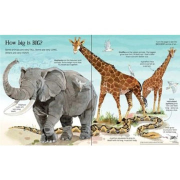 Gran Libro de Animales Usborne